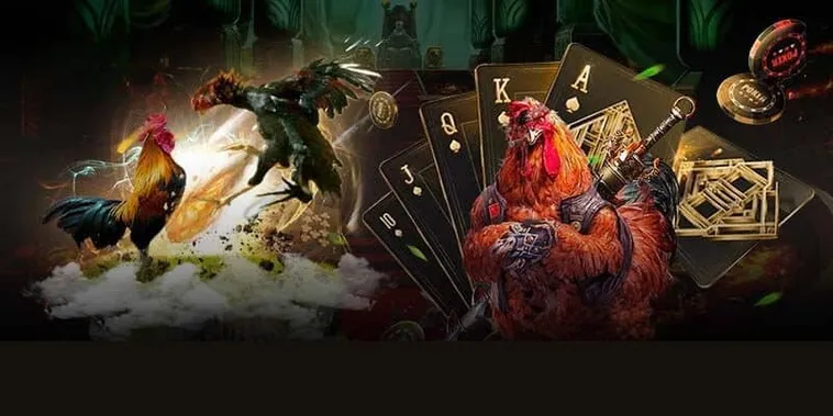 Khám Phá Cách Chơi Đá Gà 3D Tại HB88 Hấp Dẫn Nhất